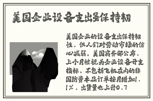by72777鱿鱼官网